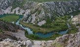 Natuurpark velebit centrum van endemisme