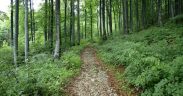 Natuurpark ucka