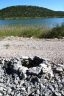Natuurpark vrana meer