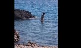 Fkk strand tomazevo krk kroatie