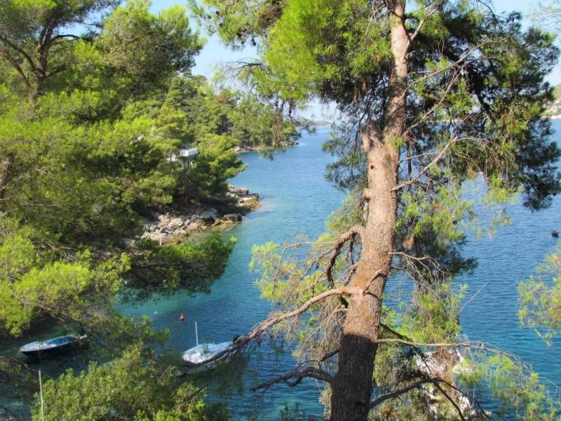 Appartementen Korčula - Brna